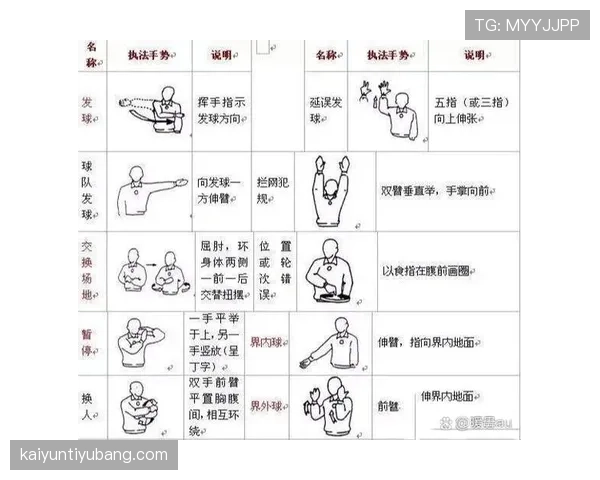 篮球场上裁判手势规则的权威解读：判罚依据与动作要领
